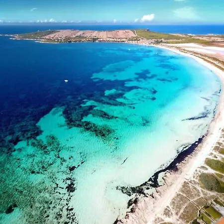 - Windsurf Panorama 50 Mt From Sea Vakantiehuis *