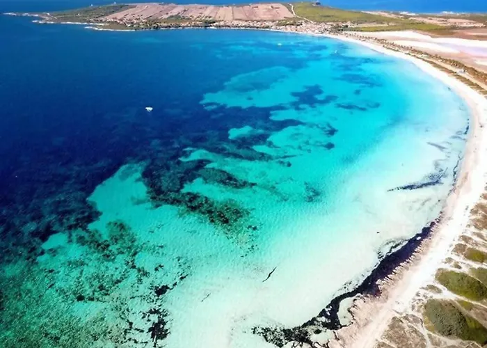 - Windsurf Panorama 50 Mt From Sea Дом отдыха *